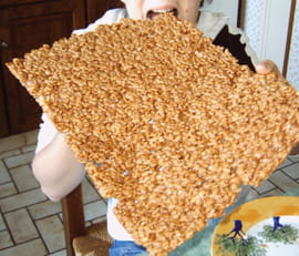 Oeufs de fourmis