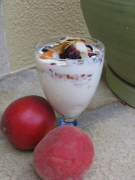 Coupe de fruits d �t� au fromage blanc