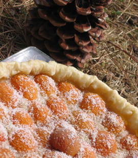 Tarte abricot-coco