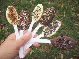 Cuill�res au chocolat