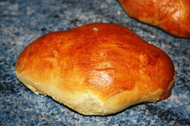 Coquille du Nord