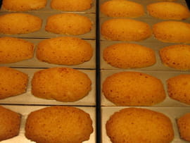 Madeleines faciles