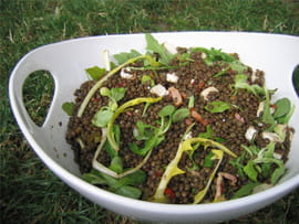 Salade de lentilles, roquette et ch�vre