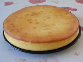 G�teau douceur � la noix de coco