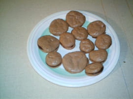 Macarons au chocolat et noix de coco