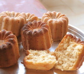 Muffins moelleux miel-citron-thym