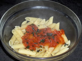 Penne aux tomates et au basilic