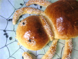SpiderPain surprise