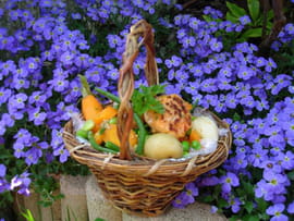 Wok de saumon et petits l�gumes