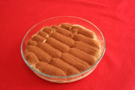 Tiramisu au fromage blanc