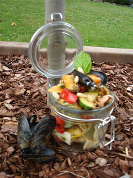 Salade aux l�gumes grill�s, moules et pistou