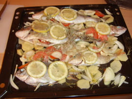 Dorade et loup aux aromates