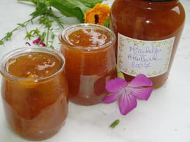 Confiture de mirabelles et rhubarbe