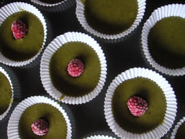 Financiers verts