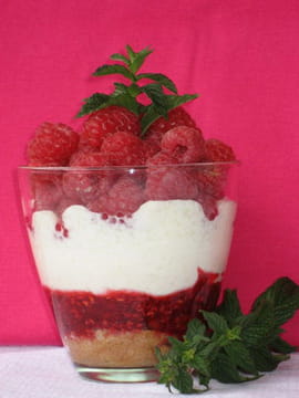 Tiramisu gourmand aux framboises