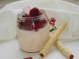 Panna cotta aux chamallows et aux framboises