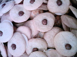 Macarons noisette