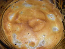 Flan de riz aux pommes