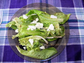 Salade au ch�vre frais et au miel chaud