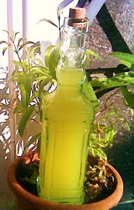 Limoncello
