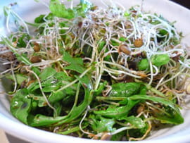 Salade de graines germ�es au balsamique