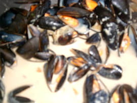 Moules � la cr�me