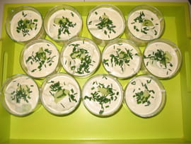 Verrines saumon-concombre