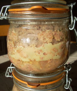 Terrine de foies de canard