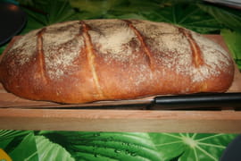 Pain rustique