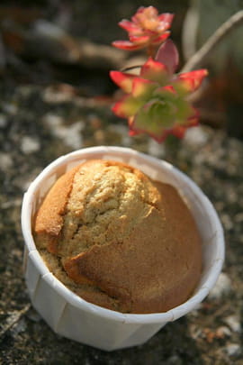Muffins dor�s � la ch�taigne
