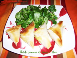 Samossas aux pommes de terre et au thon
