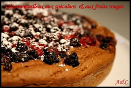 Fondant aux speculoos, tofu et fruits rouges