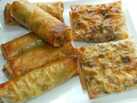 Bricks au poulet