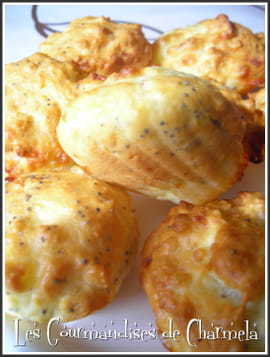 Madeleines au saint-marcellin, parmesan et pavot