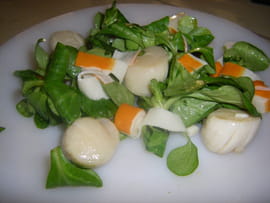Salade de m�che et Saint-jacques
