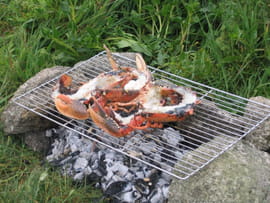 Homard grill� sauce whisky