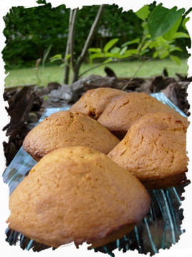 Madeleines au caramel au beurre sal�