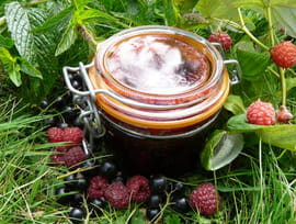 Confiture cassis-framboise � la menthe
