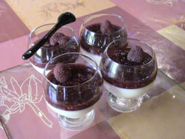 Panacotta � la gel�e de framboises