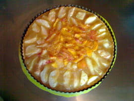 Tarte compote de pomme-vanille et nectarines