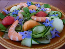 Salade de concombre et de crevettes aux trois melons