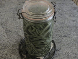 Haricots verts au sel (conserve)