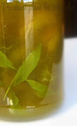 Confiture de reines-claudes � la verveine