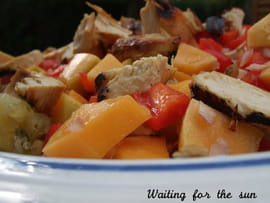 Salade color�e mangue et poulet