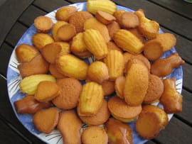 Mes petites madeleines