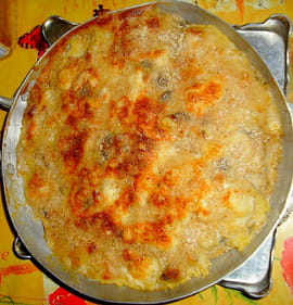 Polenta � la b�chamel de champignons au bleu 