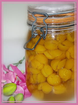 Conserve de mirabelles au sirop