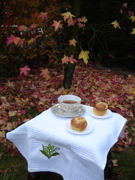 Muffins au chocolat blanc