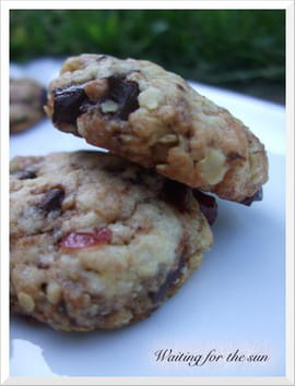 Cookies choco-cranberries et flocons d avoine