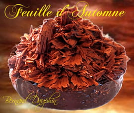 Feuille d automne